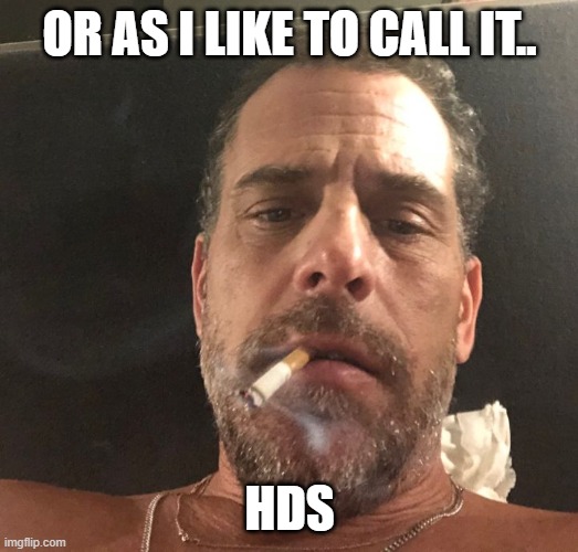 Hunter Biden | OR AS I LIKE TO CALL IT.. HDS | image tagged in hunter biden | made w/ Imgflip meme maker