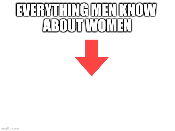 Blank White Template | EVERYTHING MEN KNOW 
ABOUT WOMEN | image tagged in blank white template | made w/ Imgflip meme maker