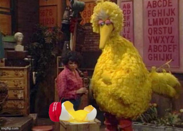 Bound to happen, but man it took a while. | image tagged in big bird broken egg,memes,maga,death,politics,sad | made w/ Imgflip meme maker