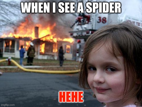 Disaster Girl | WHEN I SEE A SPIDER; HEHE | image tagged in memes,disaster girl | made w/ Imgflip meme maker