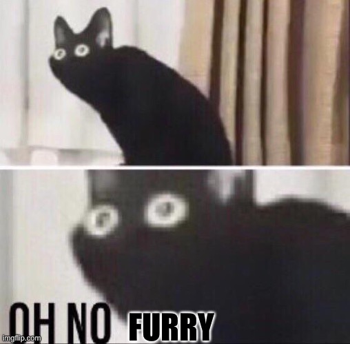 Oh no cat | FURRY | image tagged in oh no cat | made w/ Imgflip meme maker