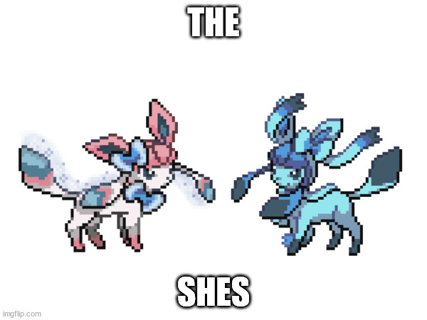 THE; SHES | made w/ Imgflip meme maker
