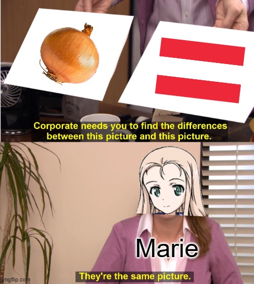 They're the same Onion | Marie | image tagged in memes,they're the same picture,girls und panzer | made w/ Imgflip meme maker
