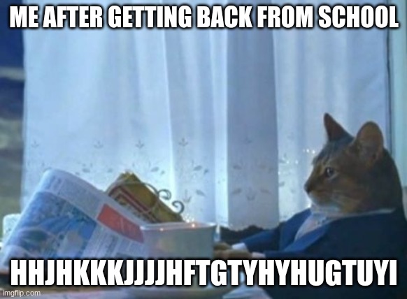 DEEZ | ME AFTER GETTING BACK FROM SCHOOL; HHJHKKKJJJJHFTGTYHYHUGTUYI | image tagged in memes,i should buy a boat cat | made w/ Imgflip meme maker