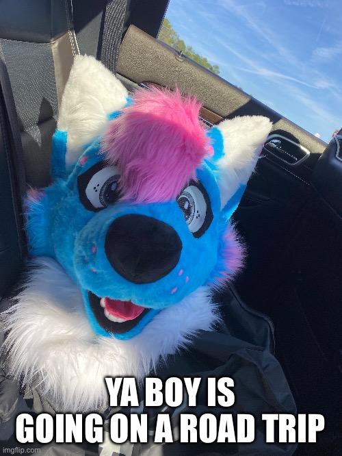 YA BOY IS GOING ON A ROAD TRIP | image tagged in furry,memes,fursuit | made w/ Imgflip meme maker