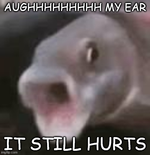 AUGHHHHHHHHH MY EAR; IT STILL HURTS | image tagged in pog fish | made w/ Imgflip meme maker