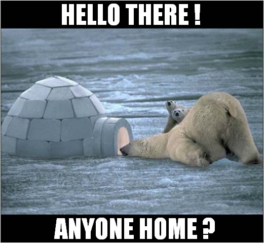 Having People For Dinner ! | HELLO THERE ! ANYONE HOME ? | image tagged in polar bears,dinner,dark humour | made w/ Imgflip meme maker