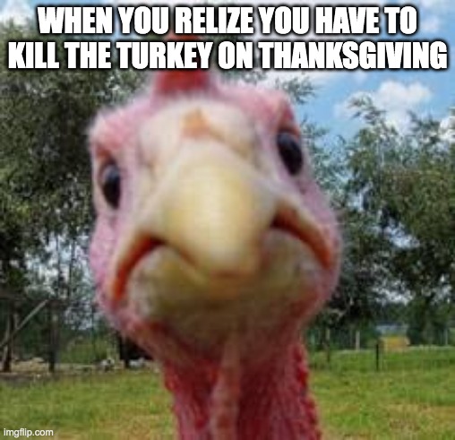 ded terk-e | WHEN YOU RELIZE YOU HAVE TO KILL THE TURKEY ON THANKSGIVING | image tagged in turkey | made w/ Imgflip meme maker