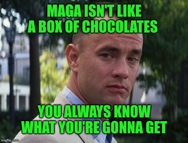Ignorant racists | MAGA ISN'T LIKE A BOX OF CHOCOLATES; YOU ALWAYS KNOW WHAT YOU'RE GONNA GET | image tagged in life is like a box of chocolates | made w/ Imgflip meme maker