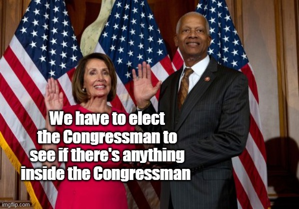 We have to elect the Congressman to see if there's anything inside the Congressman | made w/ Imgflip meme maker
