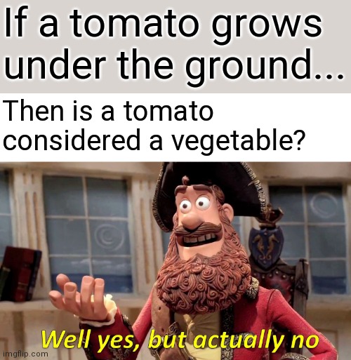 Tomato is a fruit | If a tomato grows under the ground... Then is a tomato considered a vegetable? | image tagged in memes,well yes but actually no,tomato | made w/ Imgflip meme maker