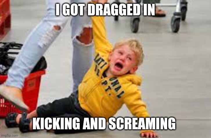 Tantrum store | I GOT DRAGGED IN KICKING AND SCREAMING | image tagged in tantrum store | made w/ Imgflip meme maker