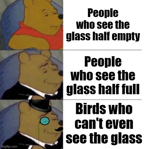 heh |  People who see the glass half empty; People who see the glass half full; Birds who can't even see the glass | image tagged in tuxedo winnie the pooh 3 panel,glass,birds | made w/ Imgflip meme maker