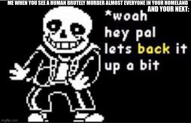 Sans when someone does a genoxide run be like: | ME WHEN YOU SEE A HUMAN BRUTELY MURDER ALMOST EVERYONE IN YOUR HOMELAND; AND YOUR NEXT: | image tagged in woah hey pal lets back it up a bit,undertale | made w/ Imgflip meme maker