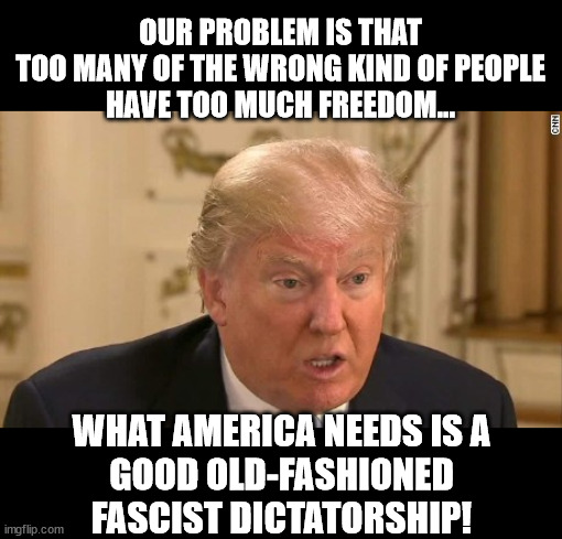 Fascism is a good thing, okay? | OUR PROBLEM IS THAT
TOO MANY OF THE WRONG KIND OF PEOPLE
HAVE TOO MUCH FREEDOM... WHAT AMERICA NEEDS IS A
GOOD OLD-FASHIONED
FASCIST DICTATORSHIP! | image tagged in trump stupid face | made w/ Imgflip meme maker