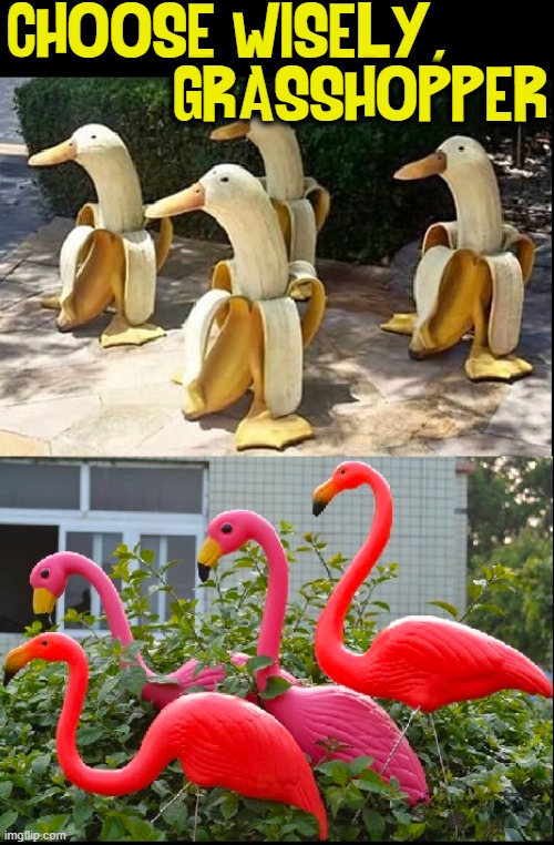 Banana Ducks or Lawn Flamingoes? | CHOOSE WISELY,      
          GRASSHOPPER | image tagged in vince vance,choose wisely,kung fu grasshopper,flamingo,ducks,memes | made w/ Imgflip meme maker