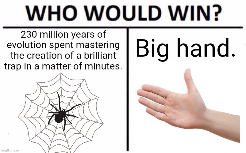 Spiders doing all that work just for you to clean your house. | 230 million years of evolution spent mastering the creation of a brilliant trap in a matter of minutes. Big hand. | image tagged in memes,who would win | made w/ Imgflip meme maker
