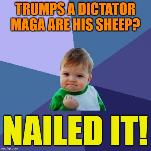 Success Kid Meme | TRUMPS A DICTATOR
MAGA ARE HIS SHEEP? NAILED IT! | image tagged in memes,success kid | made w/ Imgflip meme maker