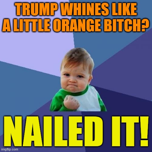 Success Kid Meme | TRUMP WHINES LIKE A LITTLE ORANGE BITCH? NAILED IT! | image tagged in memes,success kid | made w/ Imgflip meme maker