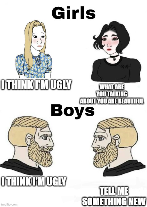 This is true |  WHAT ARE YOU TALKING ABOUT YOU ARE BEAUTIFUL; I THINK I'M UGLY; I THINK I'M UGLY; TELL ME SOMETHING NEW | image tagged in girls vs boys | made w/ Imgflip meme maker
