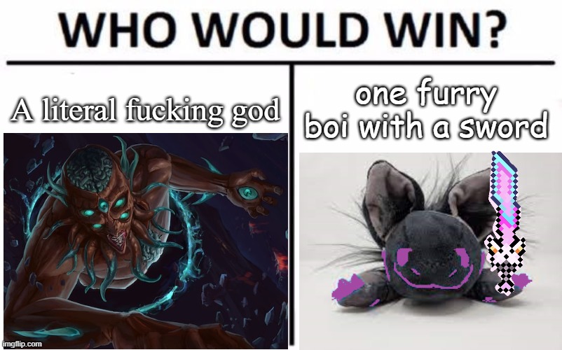 who would win? | A literal fucking god; one furry boi with a sword | image tagged in terraria | made w/ Imgflip meme maker