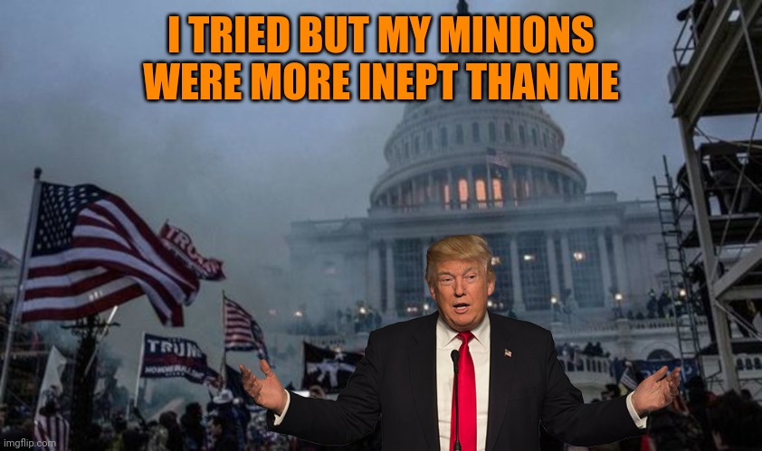 misconstrued coup | I TRIED BUT MY MINIONS WERE MORE INEPT THAN ME | image tagged in misconstrued coup | made w/ Imgflip meme maker