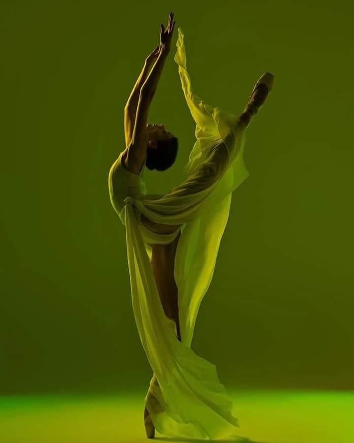 Anna Yehorova Blank Meme Template