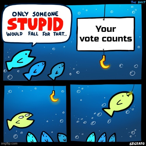 Elections are all stolen and politicians bought and paid for by lobbyists anyway. | Your vote counts | image tagged in democracy | made w/ Imgflip meme maker