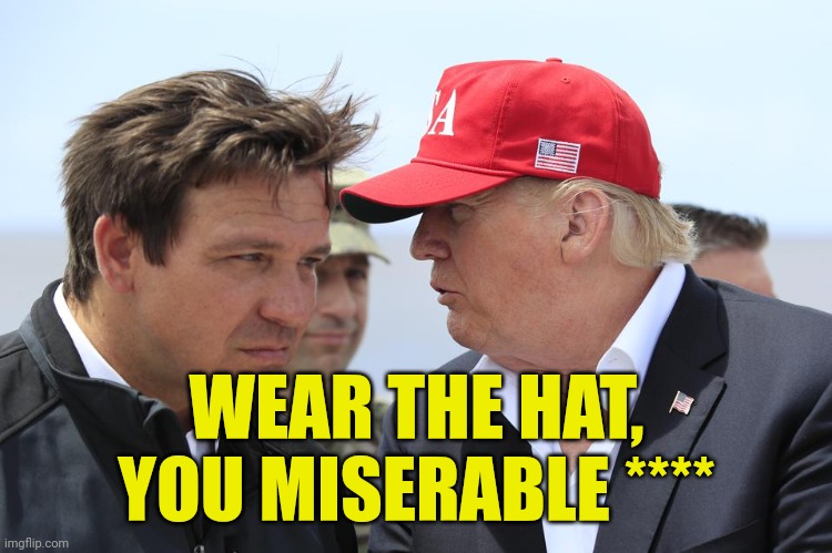 Wear the hat | WEAR THE HAT,
YOU MISERABLE **** | image tagged in trump and desantis,wear the hat,maga,funny memes,2024 election | made w/ Imgflip meme maker