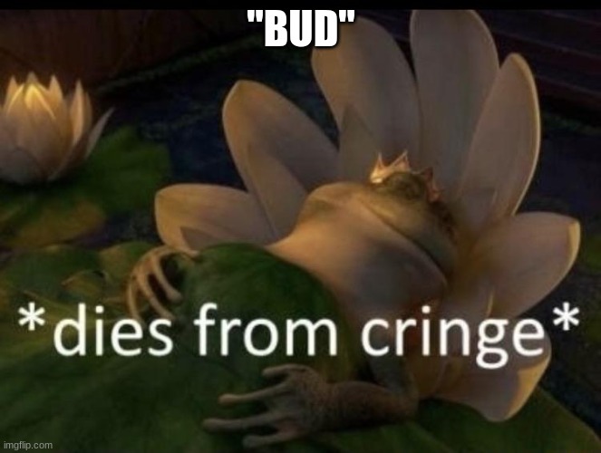 Dies from cringe | "BUD" | image tagged in dies from cringe | made w/ Imgflip meme maker