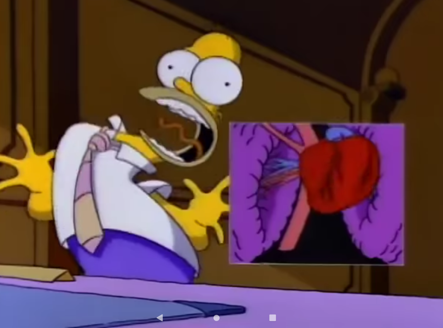 Shocked Homer Blank Meme Template