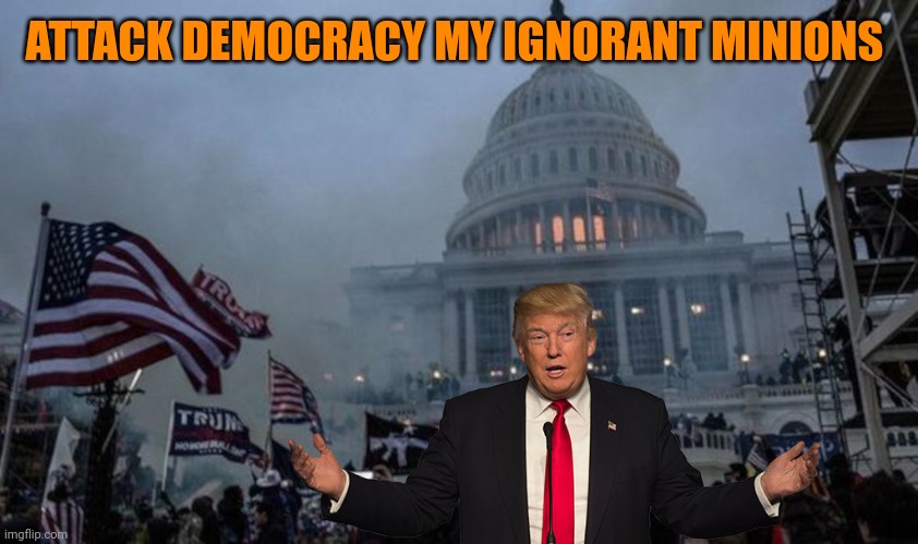 misconstrued coup | ATTACK DEMOCRACY MY IGNORANT MINIONS | image tagged in misconstrued coup | made w/ Imgflip meme maker