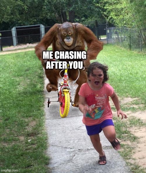 Orangutan chasing girl on a tricycle | ME CHASING AFTER YOU | image tagged in orangutan chasing girl on a tricycle | made w/ Imgflip meme maker
