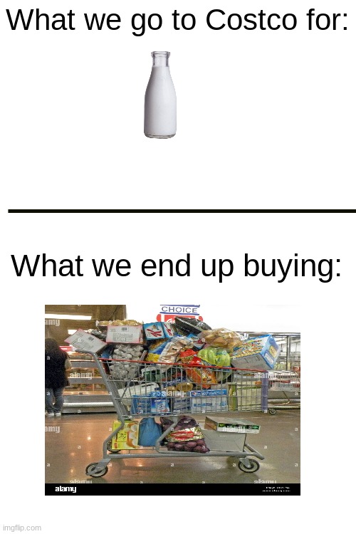 No way this isn't relatable | What we go to Costco for:; What we end up buying: | image tagged in blank white template,relatable,yez,costco,milk,meme | made w/ Imgflip meme maker