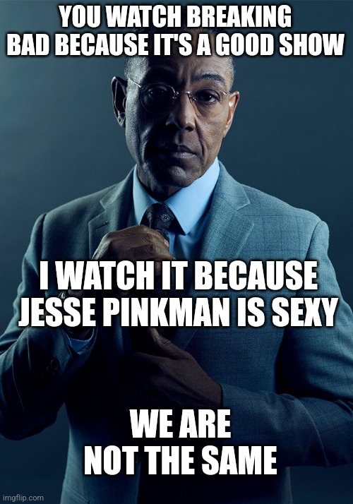 Gus Fring we are not the same | YOU WATCH BREAKING BAD BECAUSE IT'S A GOOD SHOW; I WATCH IT BECAUSE JESSE PINKMAN IS SEXY; WE ARE NOT THE SAME | image tagged in gus fring we are not the same | made w/ Imgflip meme maker