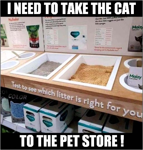 Litter Tray Test ! | I NEED TO TAKE THE CAT; TO THE PET STORE ! | image tagged in cats,litter box,test | made w/ Imgflip meme maker