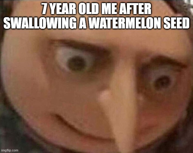 Am i gonna die? | 7 YEAR OLD ME AFTER SWALLOWING A WATERMELON SEED | image tagged in gru meme | made w/ Imgflip meme maker