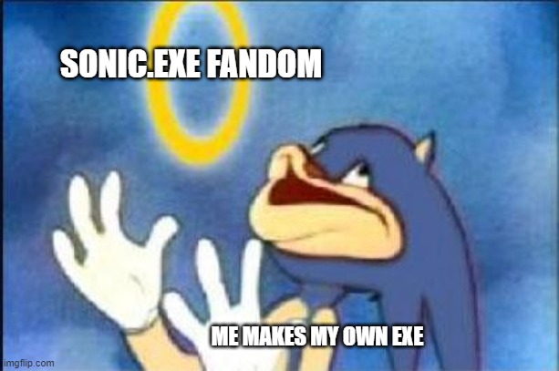 ya i have one of mmy own exe's | SONIC.EXE FANDOM; ME MAKES MY OWN EXE | image tagged in sonic derp | made w/ Imgflip meme maker