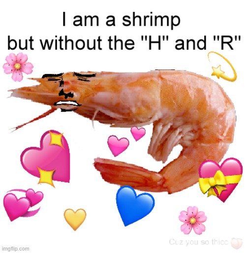 simpy shrimpy~ | image tagged in funny,lol so funny | made w/ Imgflip meme maker