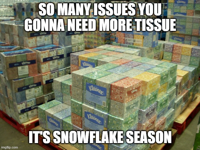 its the most wonderful time of the year | SO MANY ISSUES YOU GONNA NEED MORE TISSUE; IT'S SNOWFLAKE SEASON | image tagged in kleenex,twitter | made w/ Imgflip meme maker