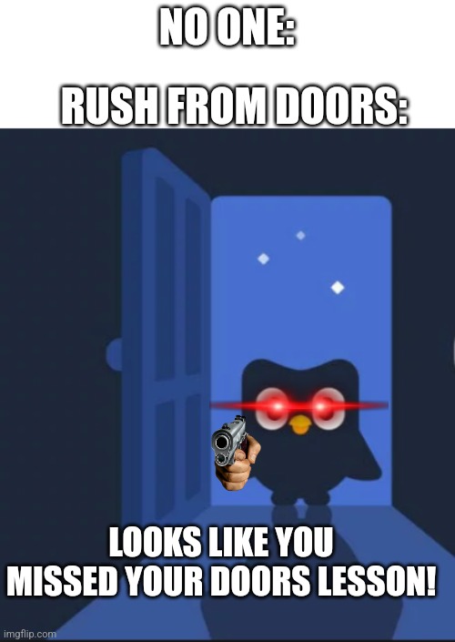 0_0 | RUSH FROM DOORS:; NO ONE:; LOOKS LIKE YOU MISSED YOUR DOORS LESSON! | image tagged in duolingo bird | made w/ Imgflip meme maker