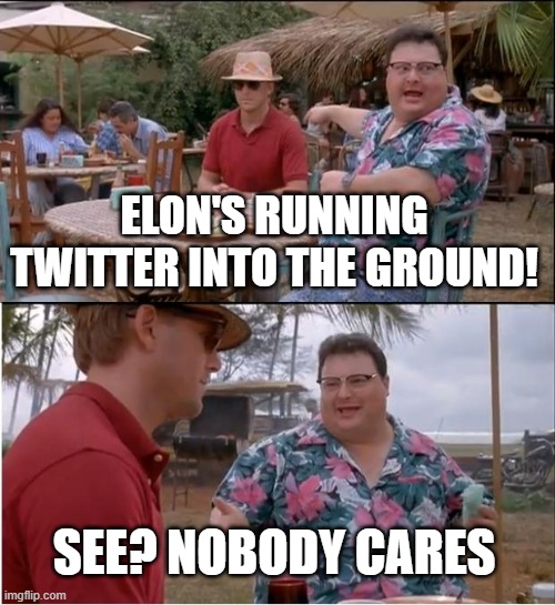 See Nobody Cares Meme | ELON'S RUNNING TWITTER INTO THE GROUND! SEE? NOBODY CARES | image tagged in memes,see nobody cares | made w/ Imgflip meme maker