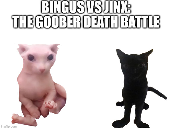 goobers <3 | BINGUS VS JINX: THE GOOBER DEATH BATTLE | made w/ Imgflip meme maker