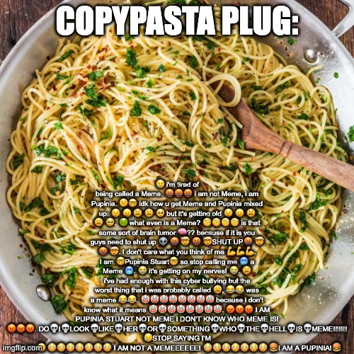 copypasta | 😢 i'm tired of being called a Meme. 🤬🤬🤬 i am not Meme, i am Pupinia. 🤨🤓 idk how u get Meme and Pupinia mixed up. 😣 😖 😫 😩 🥺 but it's getting old 😣 😖 😫 😩 🥺. 🤢 what even is a Meme? 🧐🧐🧐🧐 is that some sort of brain tumor 🧠?? because if it is you guys need to shut up 👽 🤬 🤯 🤬 🤯SHUT UP🤬 🤯 🤬 🤯. I don't care what you think of me 💪💪💪. I am 🤓Pupinia Stuart🤓 so stop calling me 🥶 a Meme 🥶. 😭 it's getting on my nerves! 😭. 😫 i've had enough with this cyber bullying but the worst thing that i was probably called 😩, 😂😂 was a meme 😂😂. 🤡🤡🤡🤡🤡🤡🤡🤡 because i don't know what it means 🤡🤡🤡🤡🤡🤡🤡🤡. 😡😡😡 I AM PUPINIA STUART NOT MEME I DON'T KNOW WHO MEME IS! 😡😡😡. DO💀I💀LOOK💀LIKE💀HER💀OR💀SOMETHING💀WHO💀THE💀HELL💀IS💀MEME!!!!!!! 😥STOP SAYING I'M MEME!😥 😳😳😳😳😳😳😳 I AM NOT A MEMEEEEEE! 😳😳😳😳😳😳😳 🍔I AM A PUPINIA!🍔; COPYPASTA PLUG: | image tagged in copypasta | made w/ Imgflip meme maker