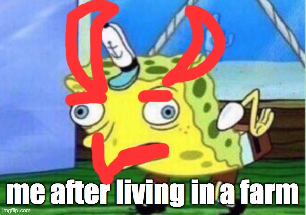 Mocking Spongebob Meme | me after living in a farm | image tagged in memes,mocking spongebob | made w/ Imgflip meme maker