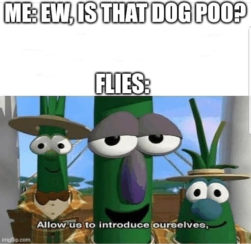 Allow us to introduce ourselves |  ME: EW, IS THAT DOG POO? FLIES: | image tagged in allow us to introduce ourselves | made w/ Imgflip meme maker