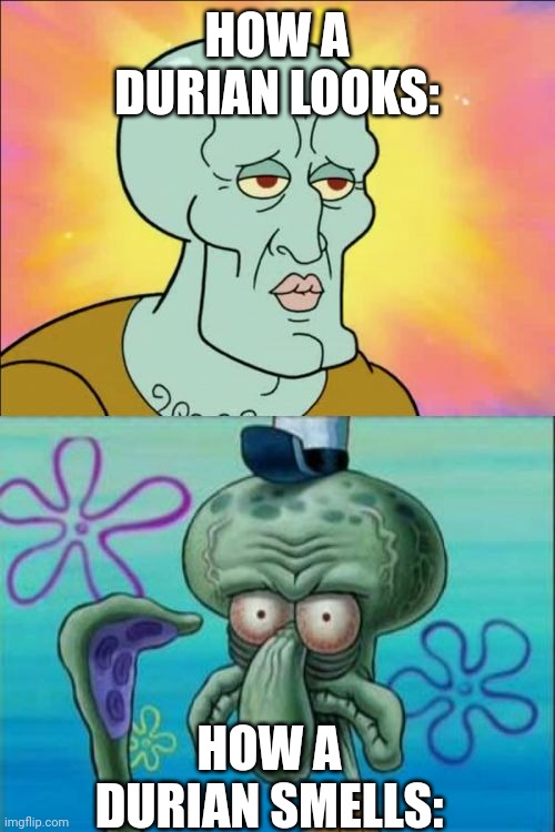 Squidward | HOW A DURIAN LOOKS:; HOW A DURIAN SMELLS: | image tagged in memes,squidward | made w/ Imgflip meme maker