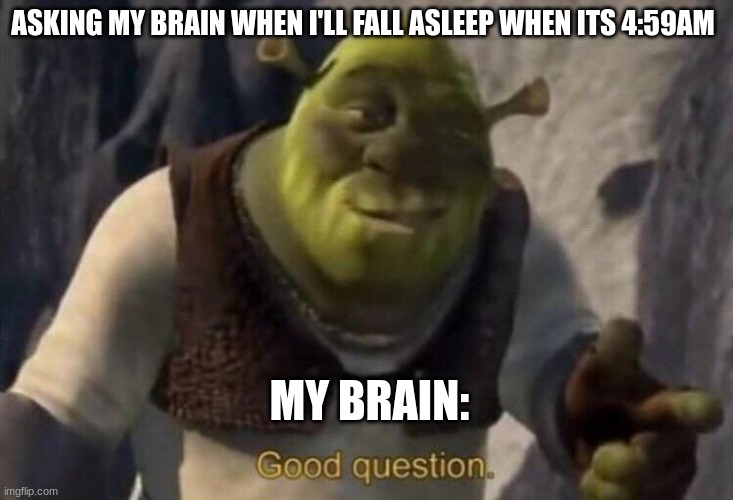 bUt sErIoUsLy WhEn?! | ASKING MY BRAIN WHEN I'LL FALL ASLEEP WHEN ITS 4:59AM; MY BRAIN: | image tagged in shrek good question,brain before sleep,hey you going to sleep | made w/ Imgflip meme maker