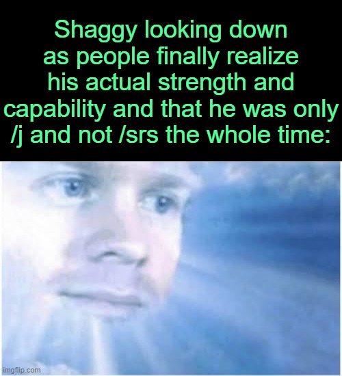 . | Shaggy looking down as people finally realize his actual strength and capability and that he was only /j and not /srs the whole time: | image tagged in in heaven looking down | made w/ Imgflip meme maker