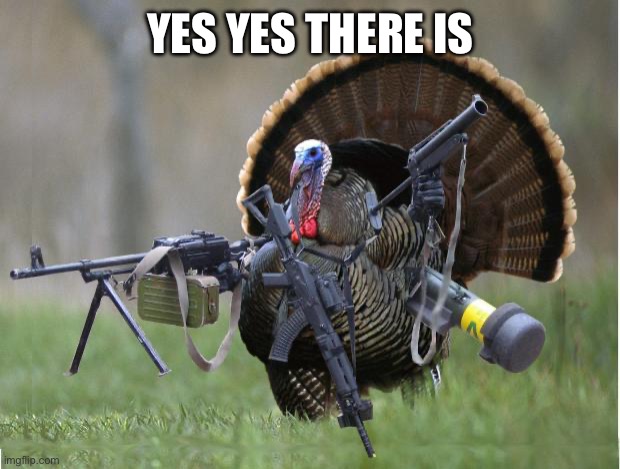 turkey | YES YES THERE IS | image tagged in turkey | made w/ Imgflip meme maker